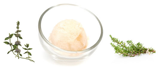 sorbet farigoule